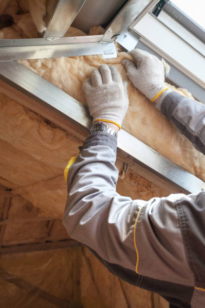 Best Insulation Maintenance and Repair in South Lancaster, MA
